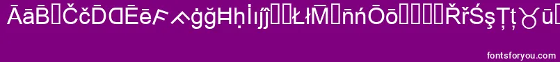 フォントMsReference1 – 紫の背景に白い文字