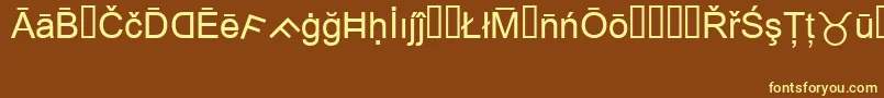 フォントMsReference1 – 黄色のフォント、茶色の背景