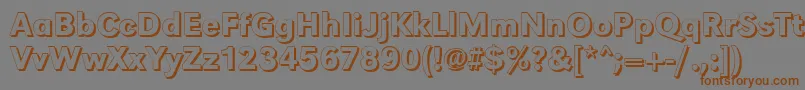 GroteskshMediumRegular Font – Brown Fonts on Gray Background