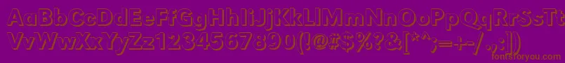 GroteskshMediumRegular Font – Brown Fonts on Purple Background