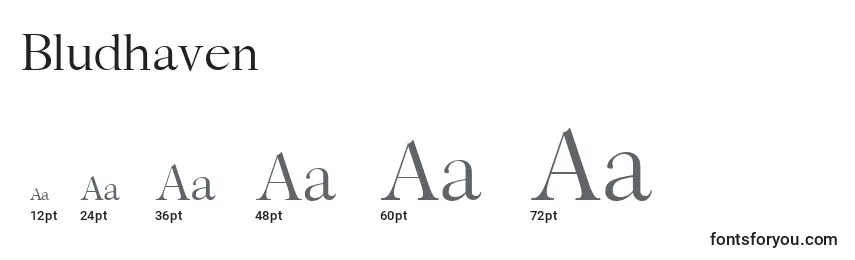 Bludhaven Font Sizes