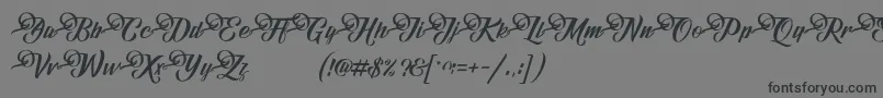 フォントFundamentalDemo – 黒い文字の灰色の背景