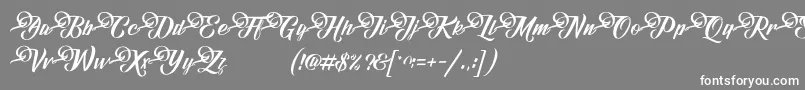 FundamentalDemo Font – White Fonts on Gray Background