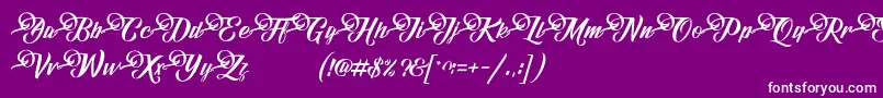 フォントFundamentalDemo – 紫の背景に白い文字