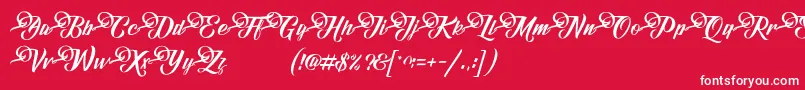 FundamentalDemo Font – White Fonts on Red Background