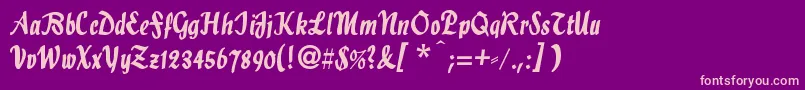 Hollascript Font – Pink Fonts on Purple Background