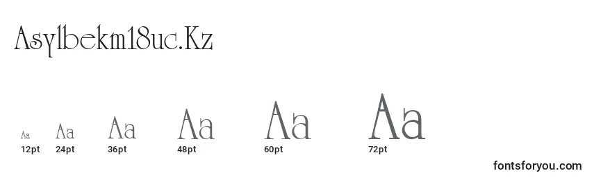 Размеры шрифта Asylbekm18uc.Kz