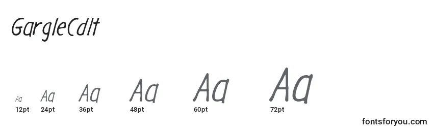 GargleCdIt Font Sizes