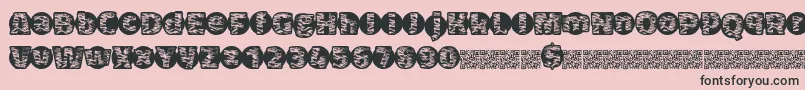 Tigerbawl Font – Black Fonts on Pink Background