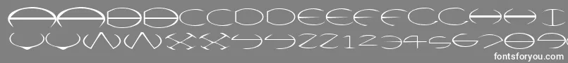 Victor Font – White Fonts on Gray Background