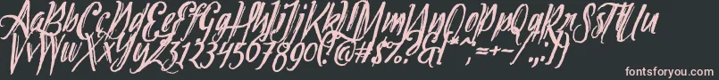Tipbrush2Slanted Font – Pink Fonts on Black Background