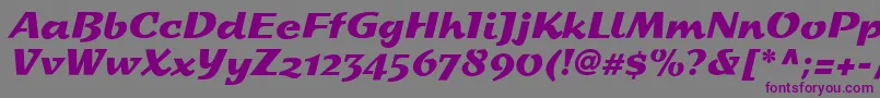 StDash Font – Purple Fonts on Gray Background