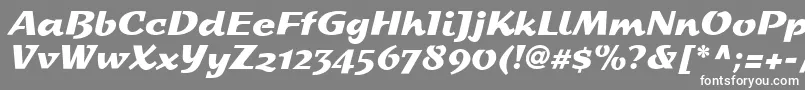 フォントStDash – 灰色の背景に白い文字