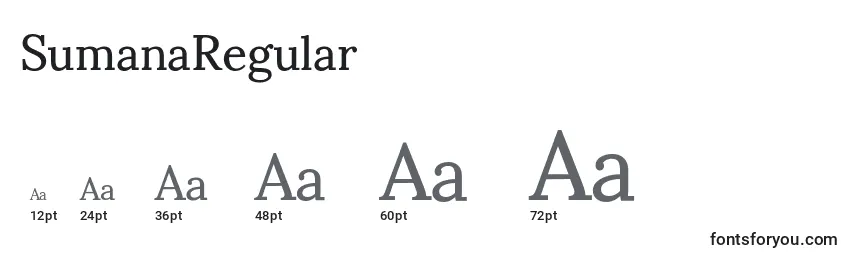 Размеры шрифта SumanaRegular