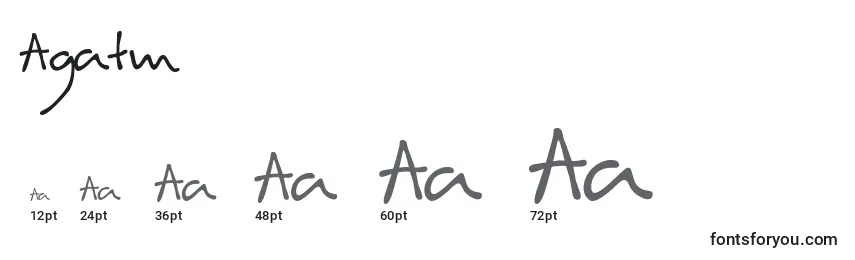 Размеры шрифта Agatm