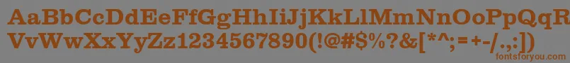 Шрифт Clarendontbol – коричневые шрифты на сером фоне