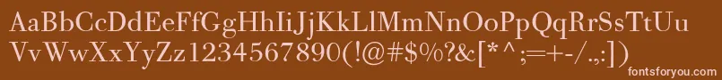 PfbodonitextRegular Font – Pink Fonts on Brown Background