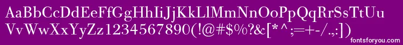 PfbodonitextRegular-Schriftart – Weiße Schriften auf violettem Hintergrund