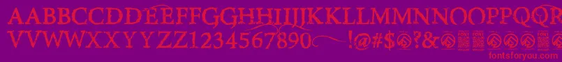 RiseinsideRegular Font – Red Fonts on Purple Background