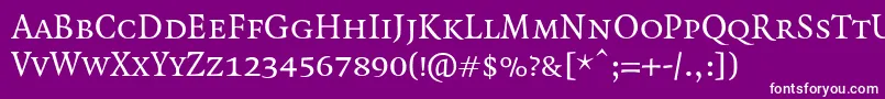 QuadraatSmallcaps Font – White Fonts on Purple Background