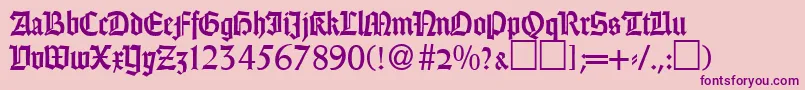 GothicRegularDb Font – Purple Fonts on Pink Background