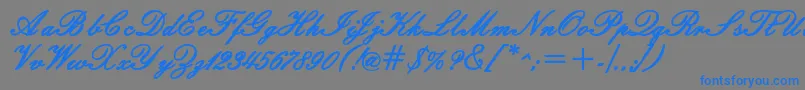WindemerescriptsskBold Font – Blue Fonts on Gray Background