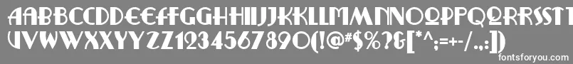 Ritzyremixnf Font – White Fonts on Gray Background