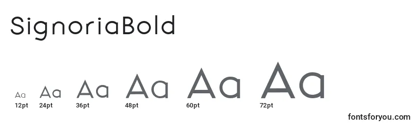 SignoriaBold Font Sizes