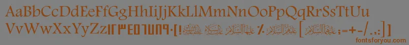 More about ScHani Font ScHani Font – Brown Fonts on Gray Background