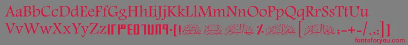 ScHani Font – Red Fonts on Gray Background