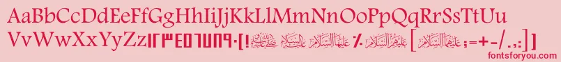 ScHani Font – Red Fonts on Pink Background