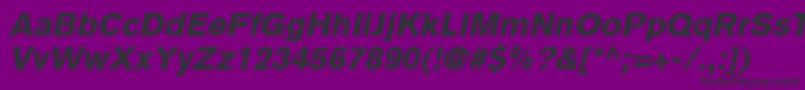 BasiccommercialLtBlackItalic Font – Black Fonts on Purple Background