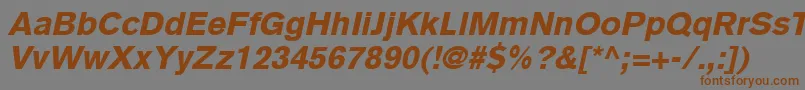 BasiccommercialLtBlackItalic Font – Brown Fonts on Gray Background