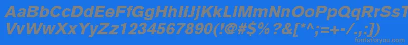 BasiccommercialLtBlackItalic Font – Gray Fonts on Blue Background