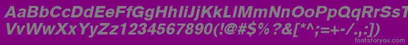 BasiccommercialLtBlackItalic Font – Gray Fonts on Purple Background