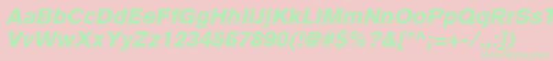 BasiccommercialLtBlackItalic Font – Green Fonts on Pink Background