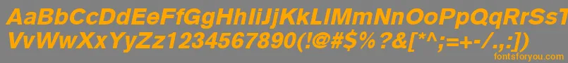 BasiccommercialLtBlackItalic Font – Orange Fonts on Gray Background