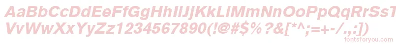 BasiccommercialLtBlackItalic Font – Pink Fonts on White Background