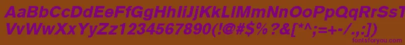 BasiccommercialLtBlackItalic Font – Purple Fonts on Brown Background