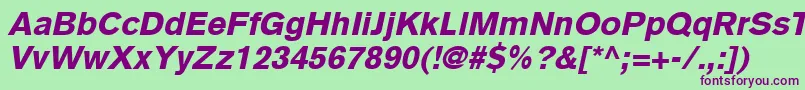 BasiccommercialLtBlackItalic Font – Purple Fonts on Green Background