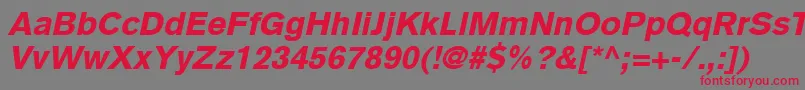 BasiccommercialLtBlackItalic Font – Red Fonts on Gray Background