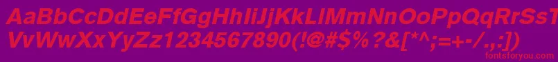 BasiccommercialLtBlackItalic Font – Red Fonts on Purple Background