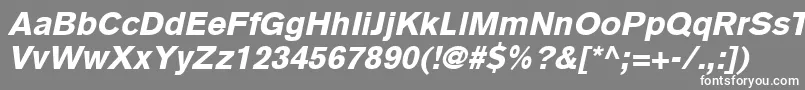 フォントBasiccommercialLtBlackItalic – 灰色の背景に白い文字