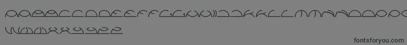 フォントSaintfighteraqua – 黒い文字の灰色の背景