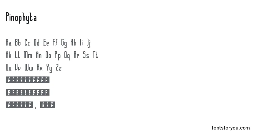 A fonte Pinophyta – alfabeto, números, caracteres especiais