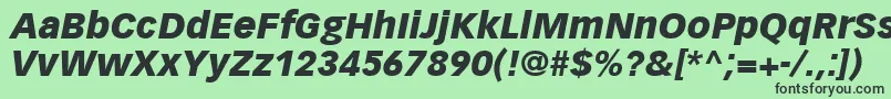 VectoraLt96BlackItalic Font – Black Fonts on Green Background