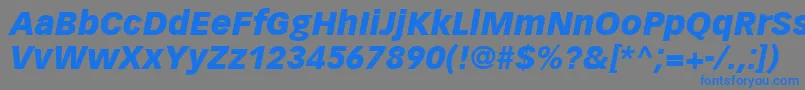 Czcionka VectoraLt96BlackItalic – niebieskie czcionki na szarym tle