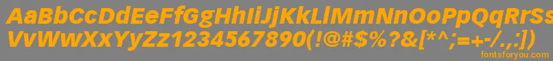 VectoraLt96BlackItalic Font – Orange Fonts on Gray Background