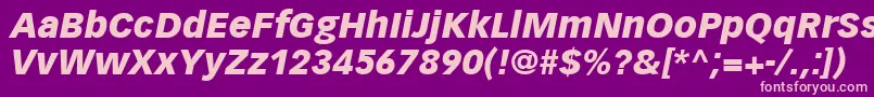 VectoraLt96BlackItalic Font – Pink Fonts on Purple Background