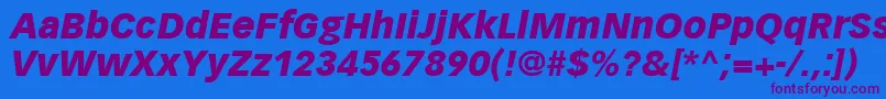 VectoraLt96BlackItalic Font – Purple Fonts on Blue Background